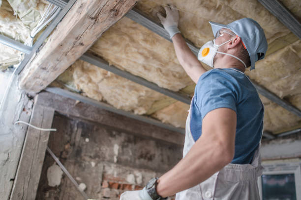 Types of Insulation We Offer in Arroyo Seco, NM