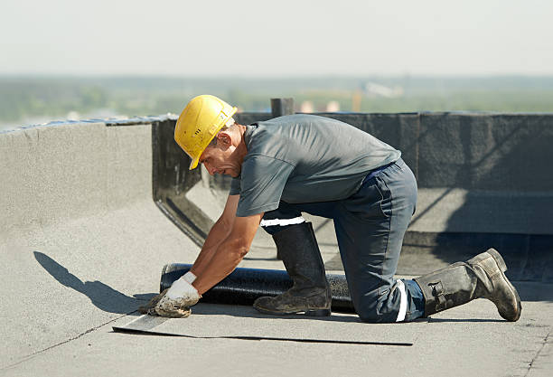 Best Cellulose Insulation in Arroyo Seco, NM